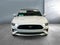 2023 Ford Mustang EcoBoost