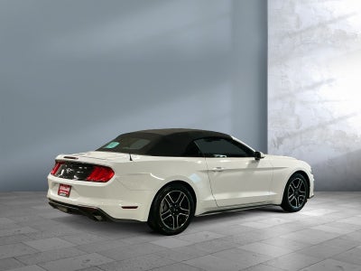 2023 Ford Mustang EcoBoost